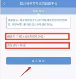 2019年四川省高考成绩查询攻略